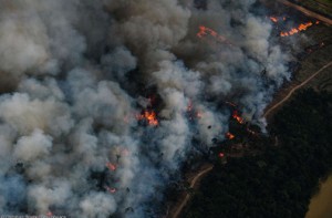 desmatamento_g desmatamento_g