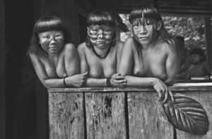 sebastiao_g sebastiao_g